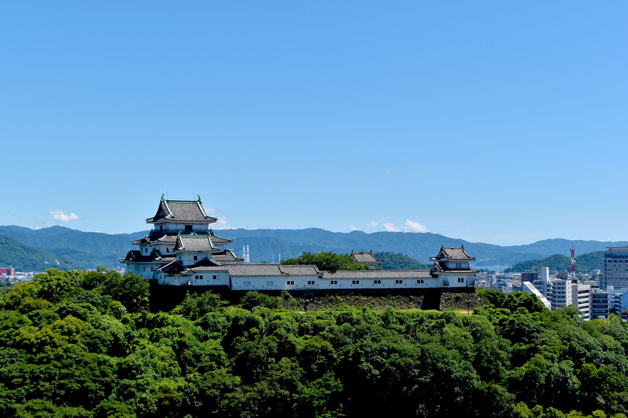 You can look at the whole Wakayama Castleの写真