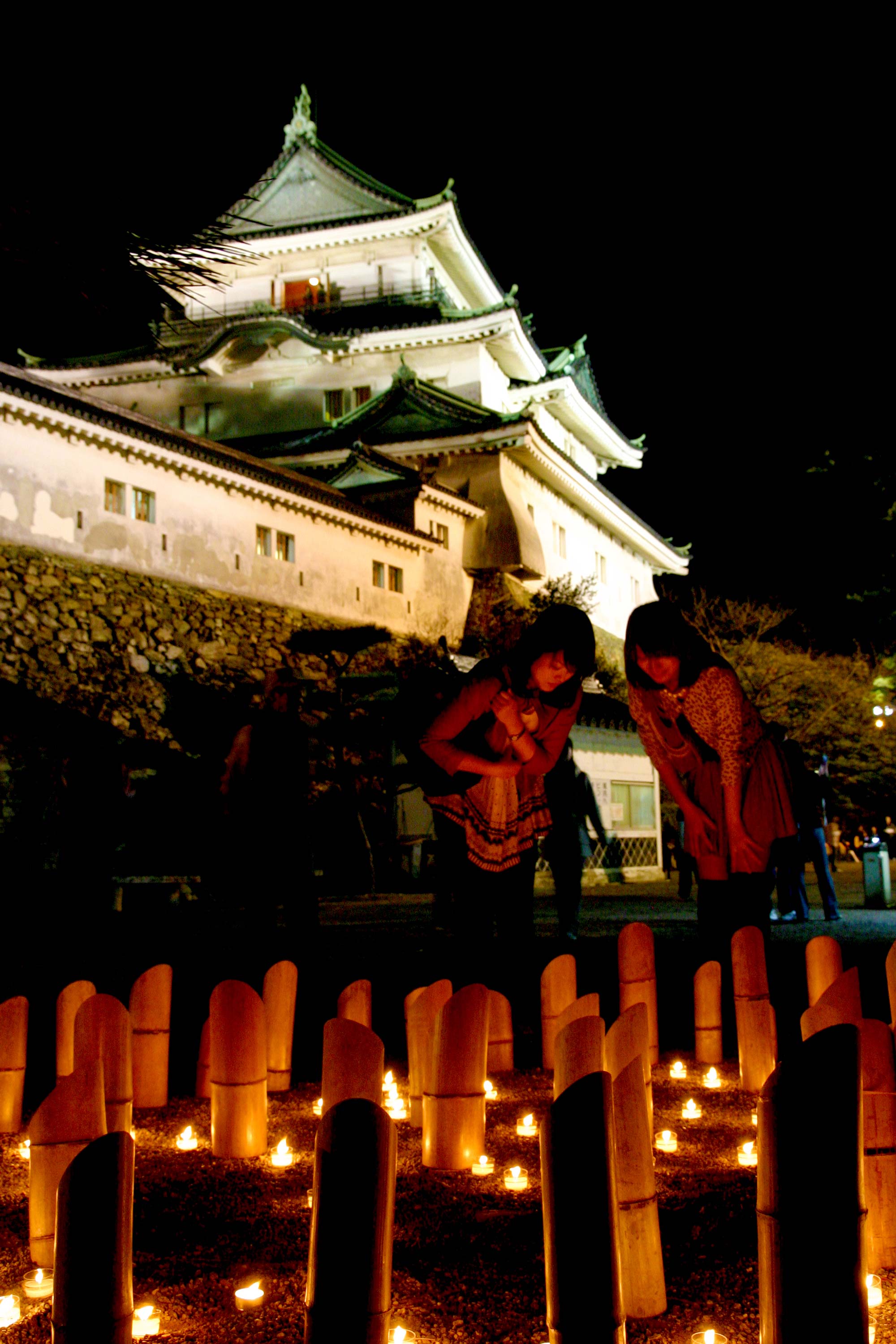 You can see Wakayama castle that was lighted up.の写真