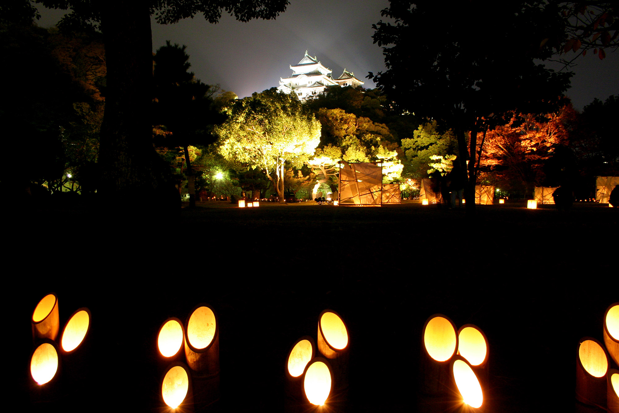 Wakayama castle at nightの写真