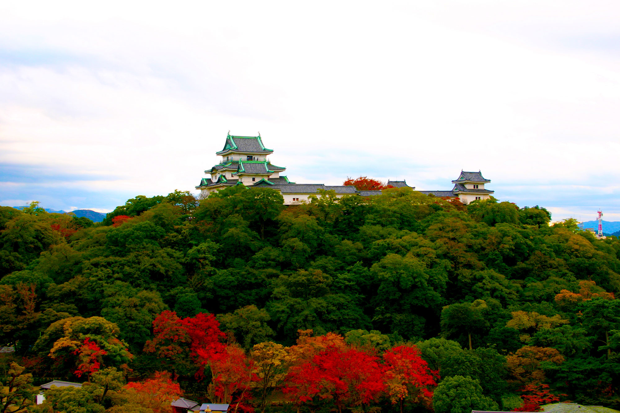 Maple stained red and Wakayama castleの写真