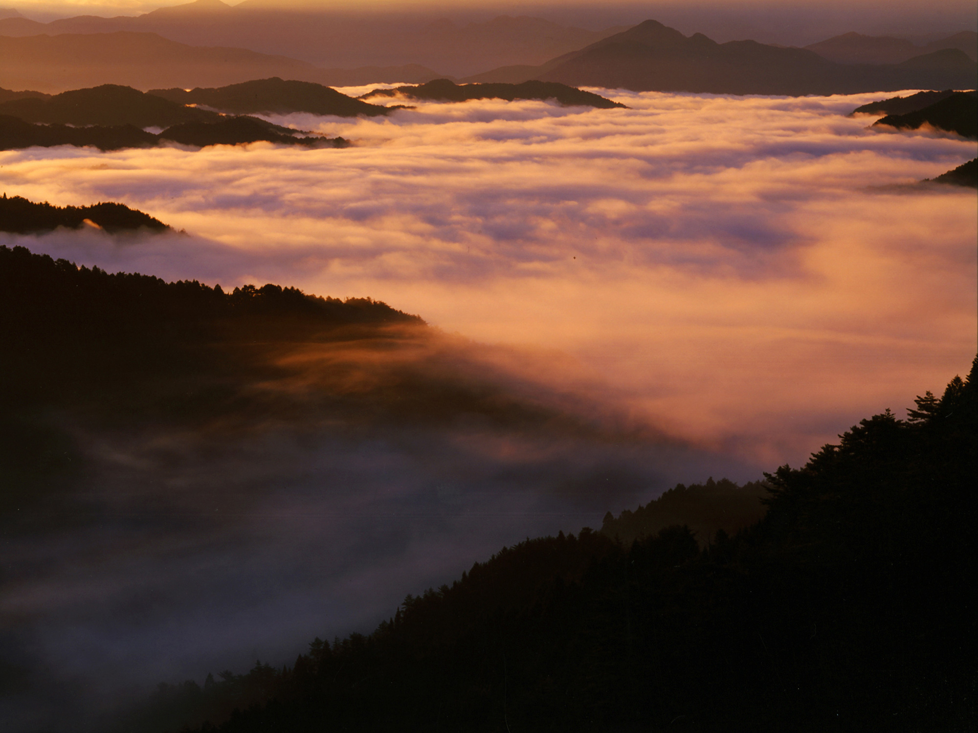 Field of clouds - valley clouds at dawn (view from Tenguki path in Koyasan)　©Motonori Takedaの写真