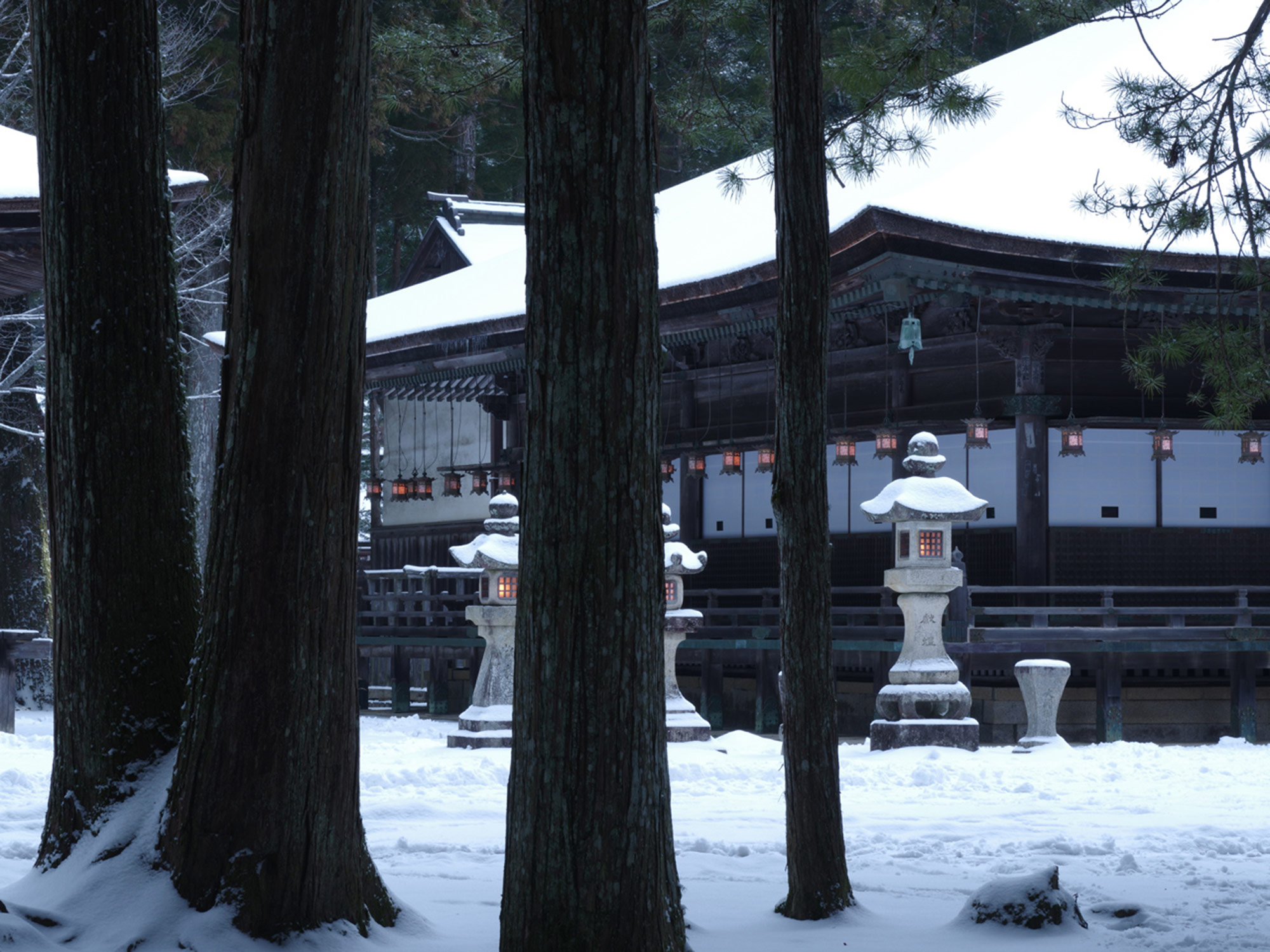 Koyasan temple enveloped in silence of snow　©Motonori Takedaの写真
