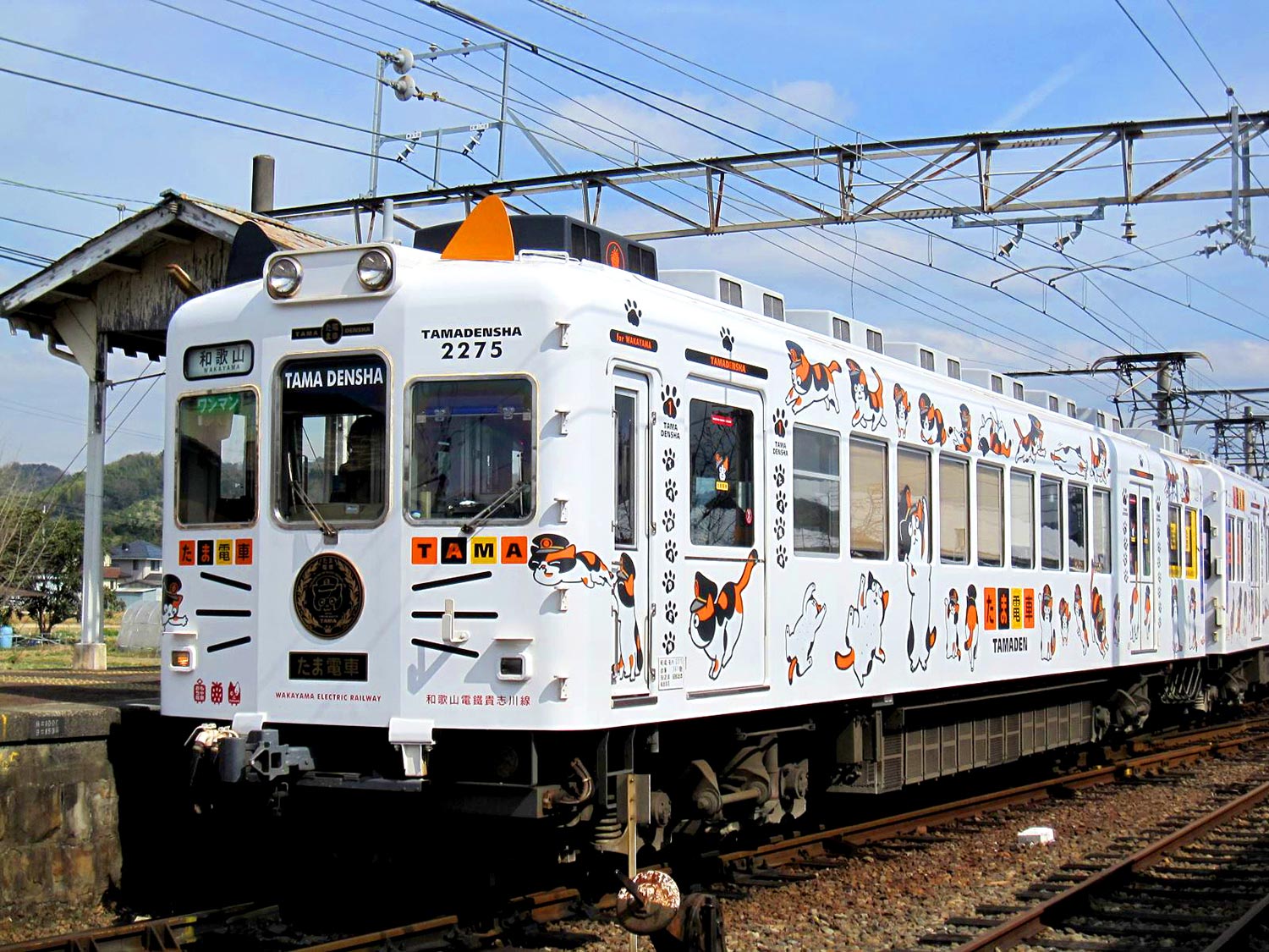 Kishigawa Line, Tama-themed train.　DESIGNED BY EIJI MITOOKA + DON DESIGN ASSOCIATESの写真
