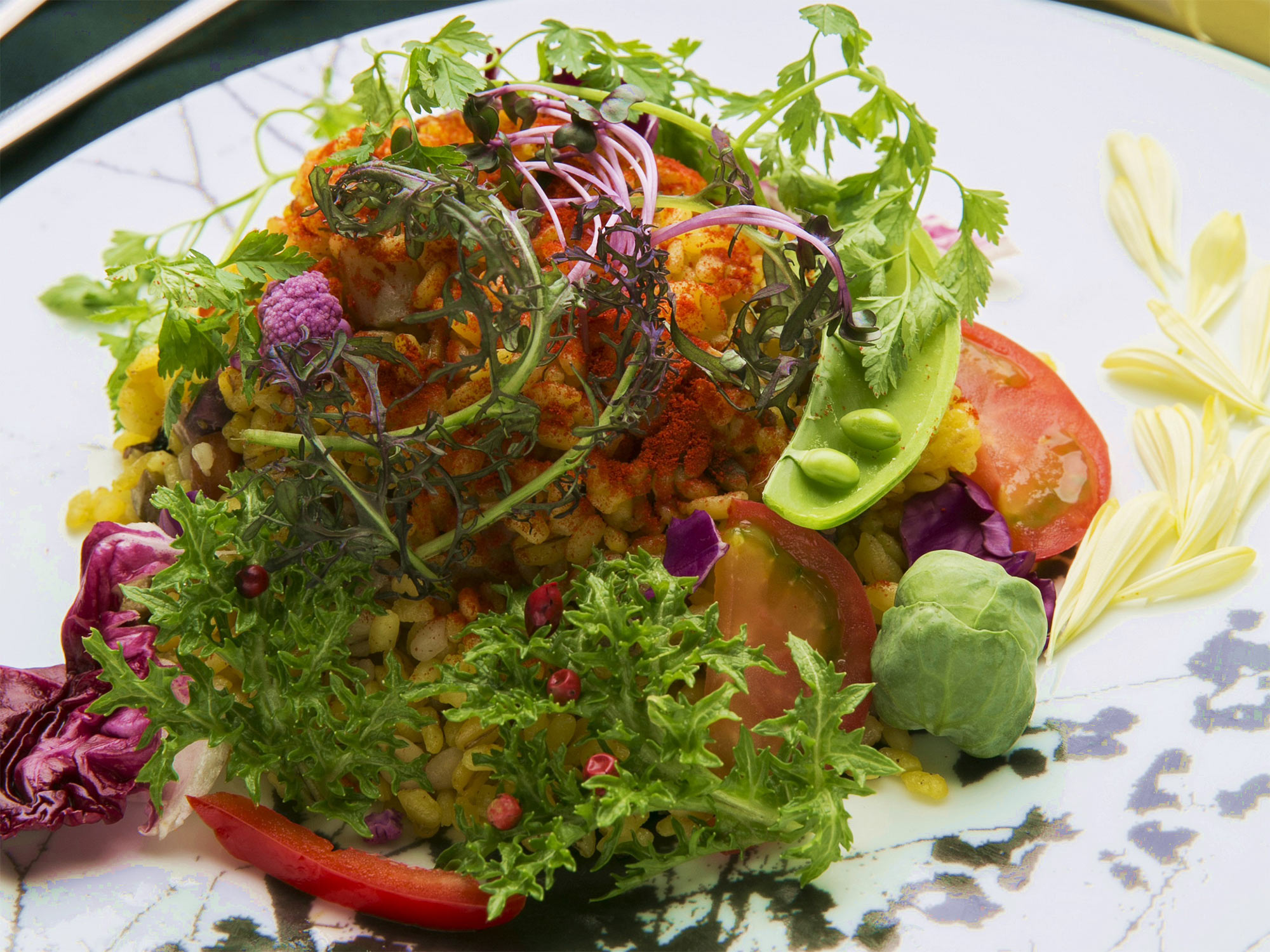 Vegetable Paellaの写真