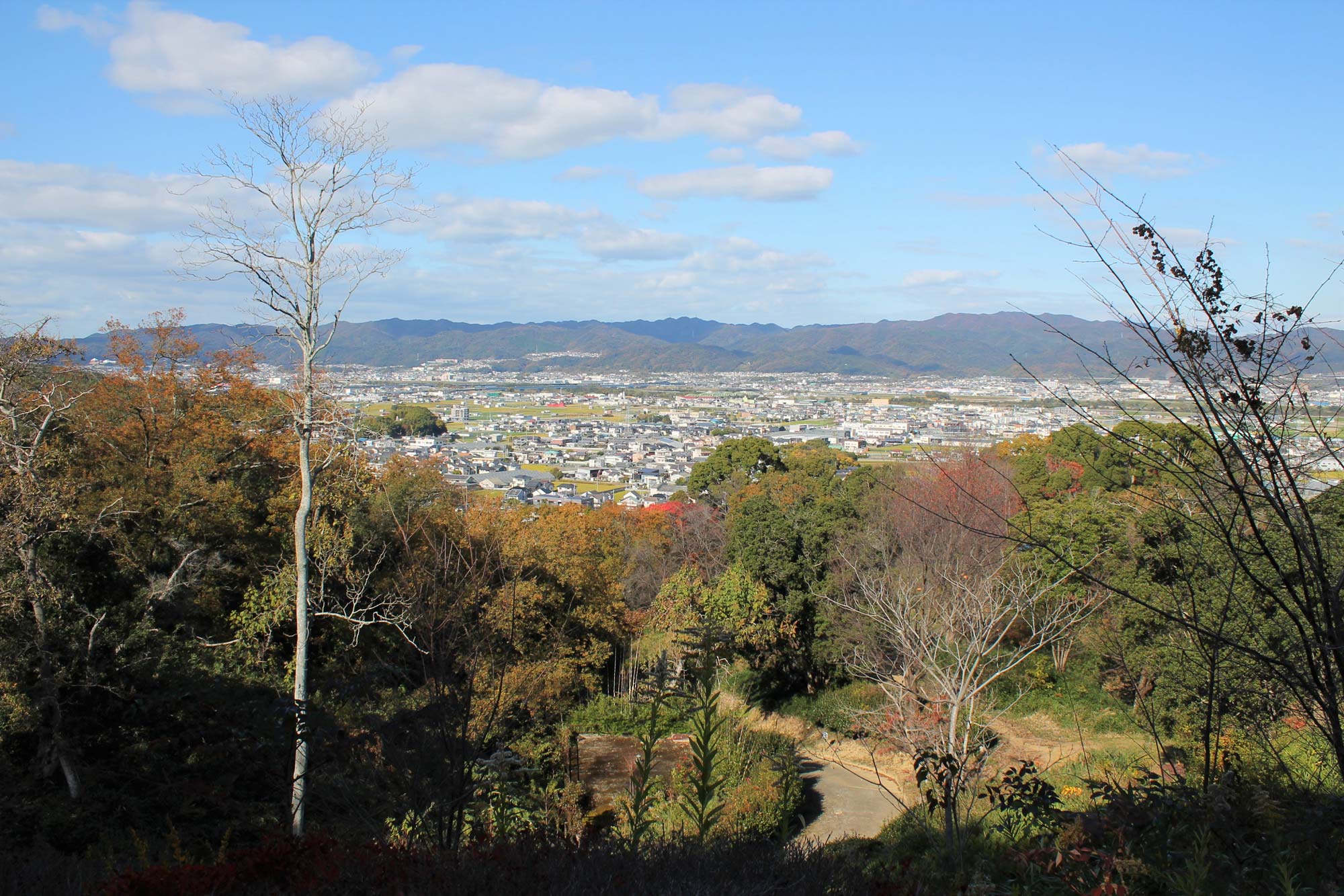 View from the mountainの写真